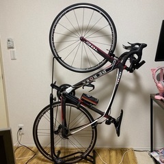 DE ROSA IDOL