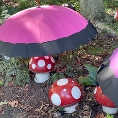 同性の友達欲しいです。