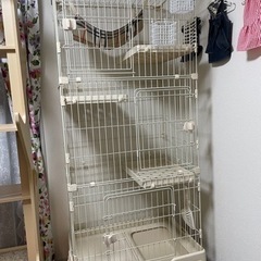 決まりました！の画像