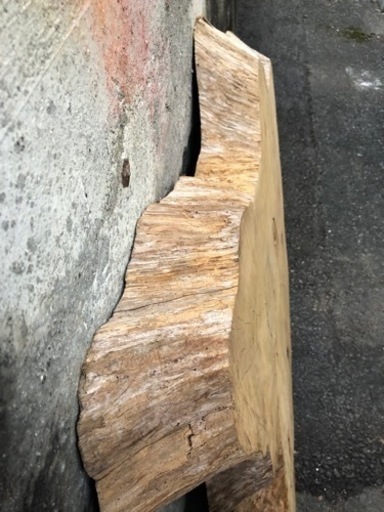 希少　欅の切り株　ニス吹き付け処理済み