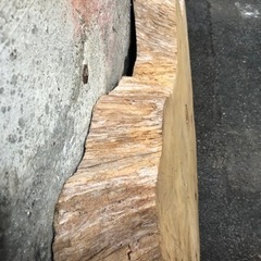 希少　欅の切り株　ニス吹き付け処理済みの画像