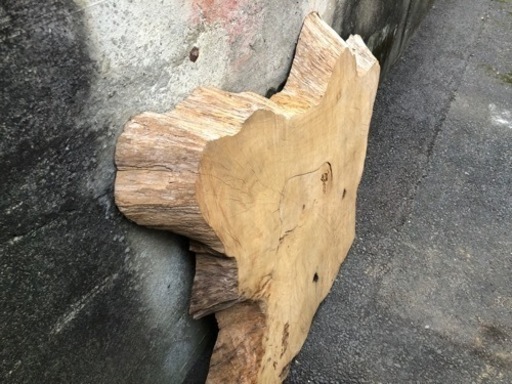希少　欅の切り株　ニス吹き付け処理済み