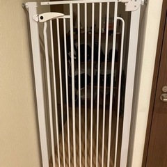 ペットゲート【直接取引】の画像