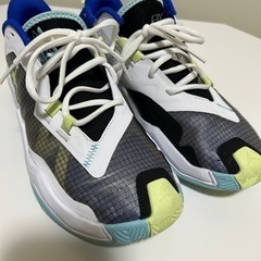 NIKE ジョーダン　ワンテイク4 PF 27センチの画像