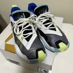 NIKE ジョーダン　ワンテイク4 PF 27センチ