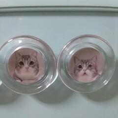 もちまる😺マグネット4個セットの画像
