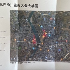 常総きぬ川花火大会チケットプレミアムシート・駐車券付・2023年10月28日の画像