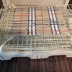 決まりました！の画像