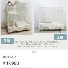 決まりました！の画像