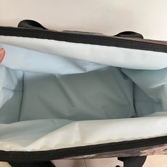 【美品】エーオー クーラーズ【AO Coolers】24パック キャンバスの画像