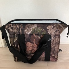 【美品】エーオー クーラーズ【AO Coolers】24パック キャンバスの画像