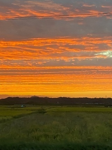 ヒノヒカリ30kg×35袋