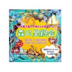森の里親会INミキズハウスファーマーズマーケット