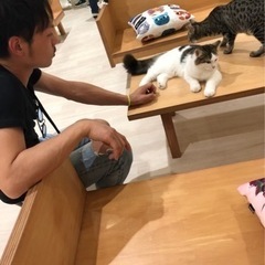 仲良く楽しい仲間募集してます🐻⭐︎ - 高崎市