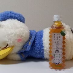 決まりました　未使用　ドナルドダック　おやすみぬいぐるみ
