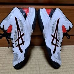 アシックス　バッシュ★TBF139 DUNKSHOT /23cmの画像