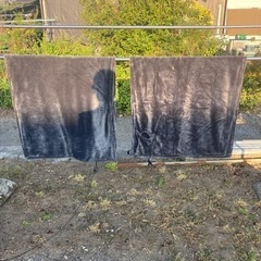 電気毛布