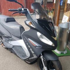 マグラーティエデァソン250Rs