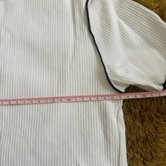 カットソーの画像