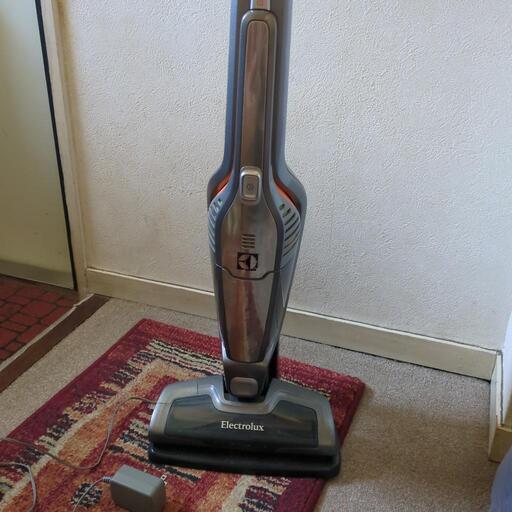 掃除機 Electrolux  ergopido