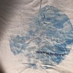 Tシャツ①(未使用)の画像