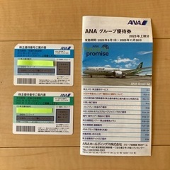 ANA株主優待券　1枚ごとの価格です。11月末まで1枚、6月末ま...