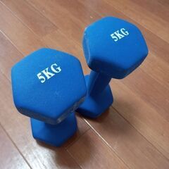 5kgダンベル２本１００円