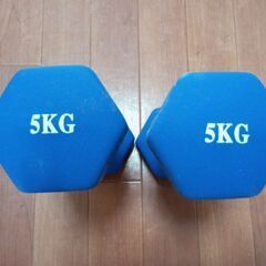 5kgダンベル２本１００円の画像