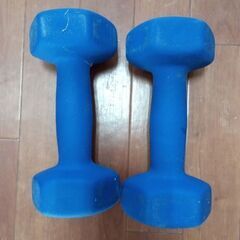 5kgダンベル２本１００円の画像