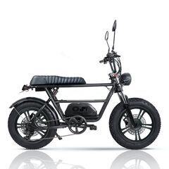 電動アシスト自転車、電動バイクMaverick Technology宮崎県正規