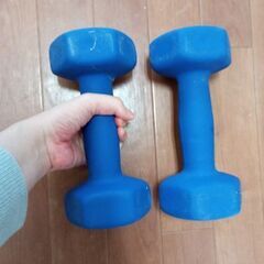 5kgダンベル２本１００円の画像