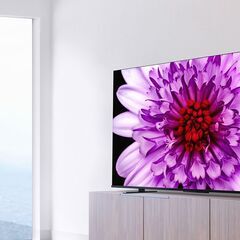 【店頭引き取り限定】【展示品特価】東芝 レグザ 55インチ 4K...