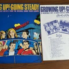 LPレコードグローイングアップ総集編 