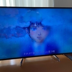 パナソニック  TH-55DX750   2016年製の画像