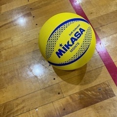 【急募】ソフトバレーいっしょにできる方.ᐟ.ᐟ