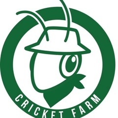 泉州コオロギ　1匹20円の画像