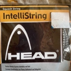 スカッシュのガット