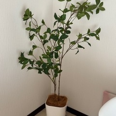 フェイクグリーン　ツツジ　レモンリーフ　インテリア　グリーン