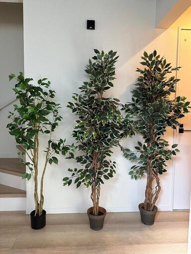 人工観葉植物