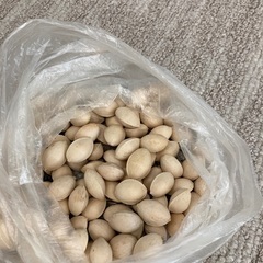 銀杏（カラつき）100グラム100円～でどうぞ♪