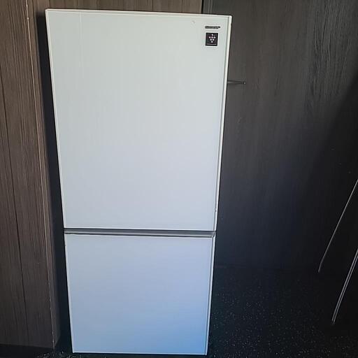 SHARP冷蔵庫