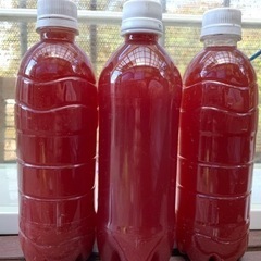 特農PSB/500ml★1本200円★