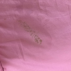 羊毛布団　格安の画像