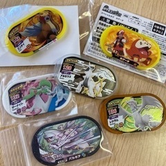 メザスタ　パルキア　その他