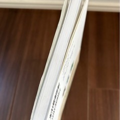 100日後に死ぬワニの画像