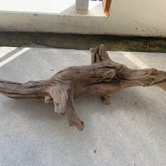 特大流木2個、中サイズ流木1個、合計3個セットの画像
