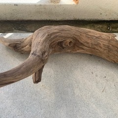 特大流木2個、中サイズ流木1個、合計3個セットの画像