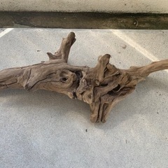 特大流木2個、中サイズ流木1個、合計3個セットの画像