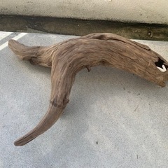 特大流木2個、中サイズ流木1個、合計3個セットの画像