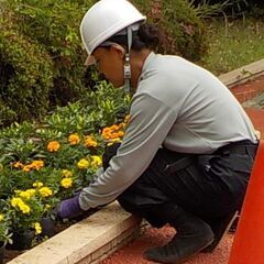 即日入居可能　社宅あり！即日勤務可能！草むしり等の軽作業スタッフ募集中！の画像